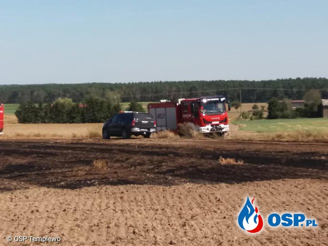 Sokola Dąbrowa - pożar ścierniska OSP Ochotnicza Straż Pożarna