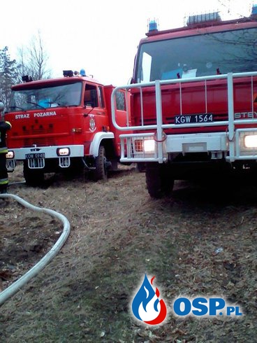 Pożar lasu w miejscowości Piaseczno-04.04.2016r OSP Ochotnicza Straż Pożarna