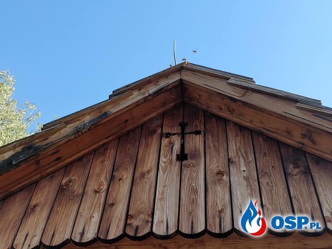 Gniazda os i szerszeni - Wygiełzów, Płaza OSP Ochotnicza Straż Pożarna