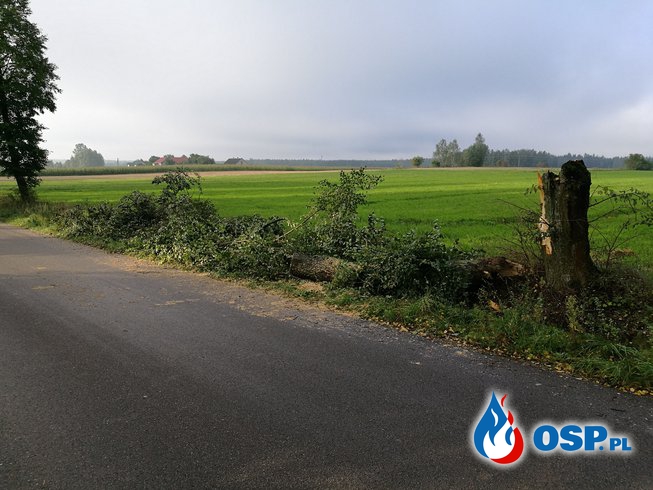 Powalone drzewa i zablokowane drogi OSP Ochotnicza Straż Pożarna