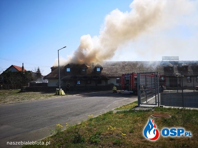 Zdarzenie 39/2019 OSP Ochotnicza Straż Pożarna