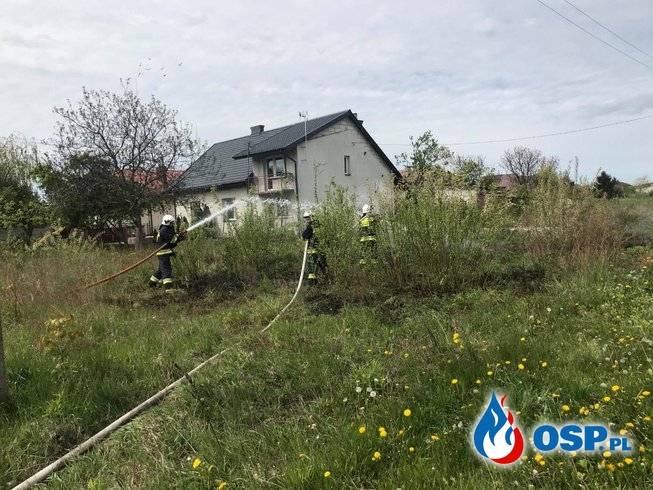 Pożar traw w Glinojecku OSP Ochotnicza Straż Pożarna