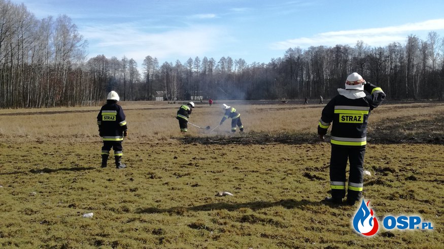 Pierwsze oznaki wiosny dla strażaka? Wyjazdy do wypalanej trawy. OSP Ochotnicza Straż Pożarna