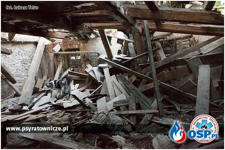 Dziwiszów: Zawalił się dach w niezamieszkałym budynku. OSP Ochotnicza Straż Pożarna