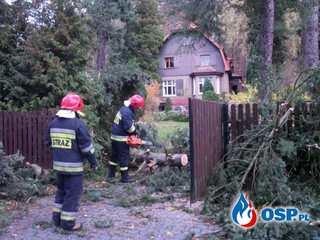 Tragiczne silne wiatry w Sopocie OSP Ochotnicza Straż Pożarna
