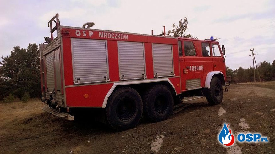 Pożar traw w miejscowości Pięty - 12.03.2017 OSP Ochotnicza Straż Pożarna