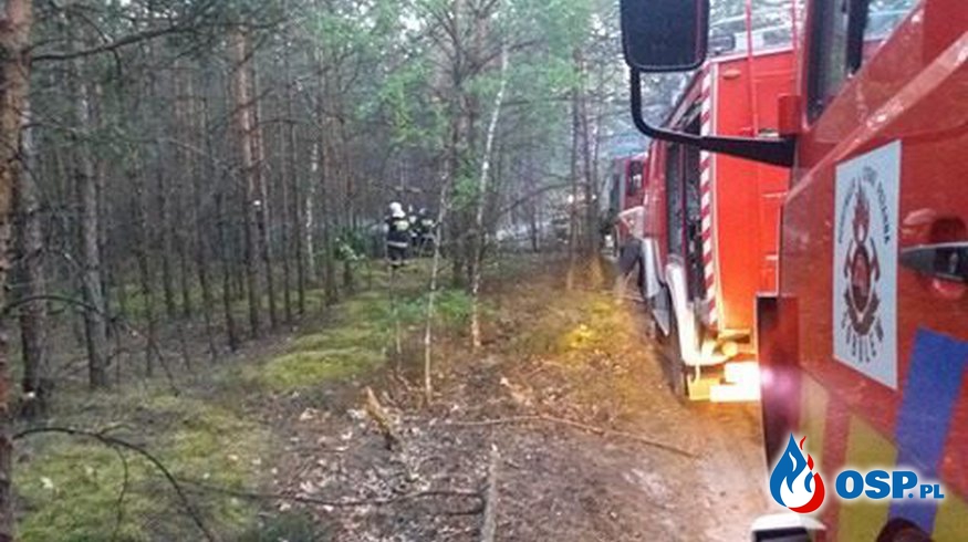 Pożar lasu na Nowinach Sobolewskich! OSP Ochotnicza Straż Pożarna