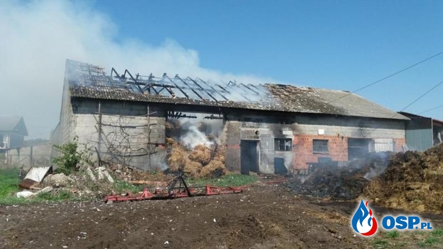 Trudna akcja gaśnicza w Zbiersku. 50 strażaków gasiło pożar w gospodarstwie. OSP Ochotnicza Straż Pożarna