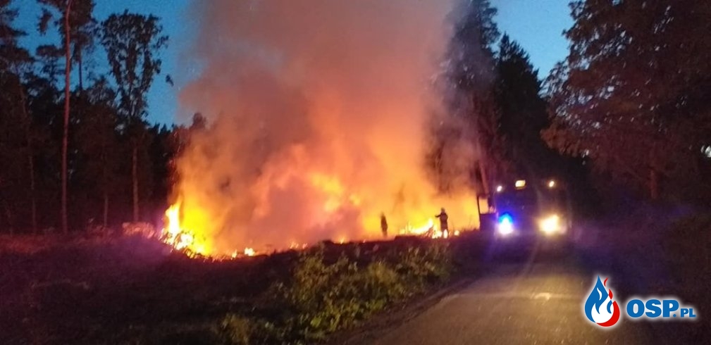 Nocny pożar lasu. OSP Ochotnicza Straż Pożarna