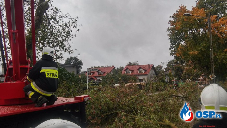 Orkan Ksawery nad powiatem międzychodzkim OSP Ochotnicza Straż Pożarna