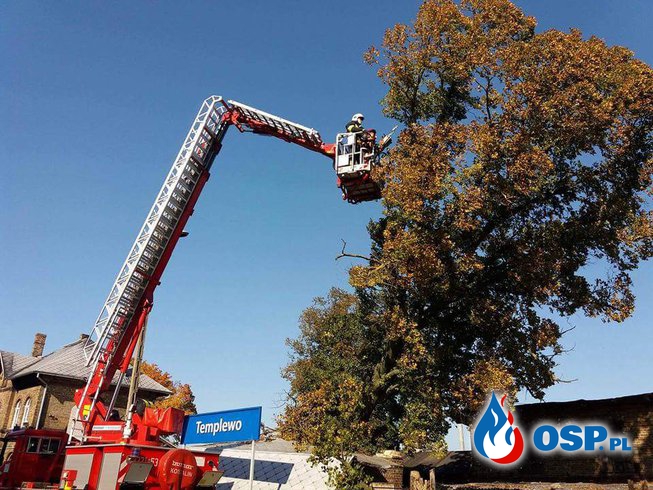 Drzewo zawisło nad PKP OSP Ochotnicza Straż Pożarna