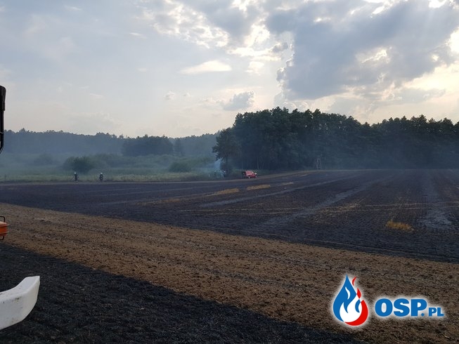 Pożar 40 hektarów ścierni ze słomą. OSP Ochotnicza Straż Pożarna