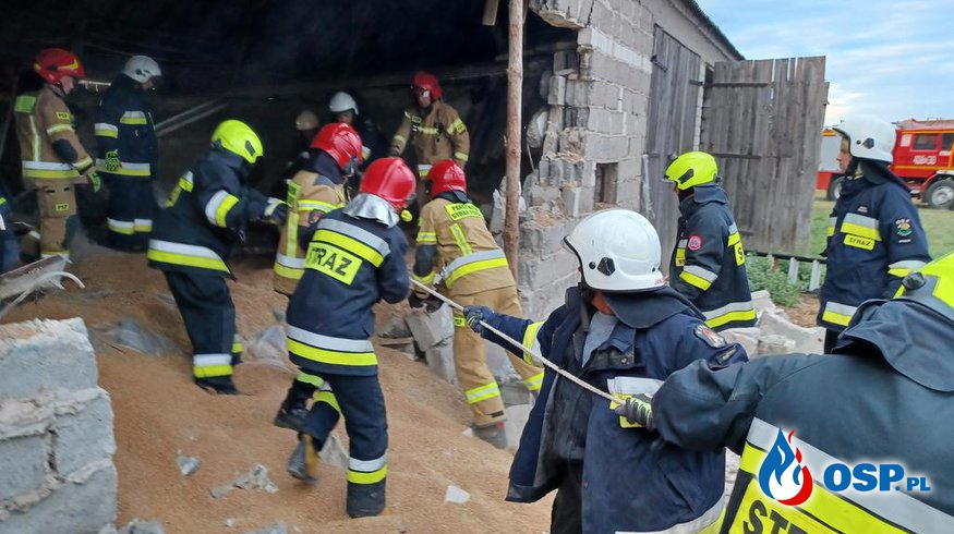 Katastrofa budowlana w Chrustach. Strażacy uwalniali przysypane krowy. OSP Ochotnicza Straż Pożarna