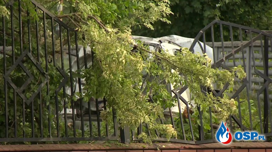 Roztrzaskał auto na słupie i ogrodzeniu. Zginął 22-letni pasażer. OSP Ochotnicza Straż Pożarna
