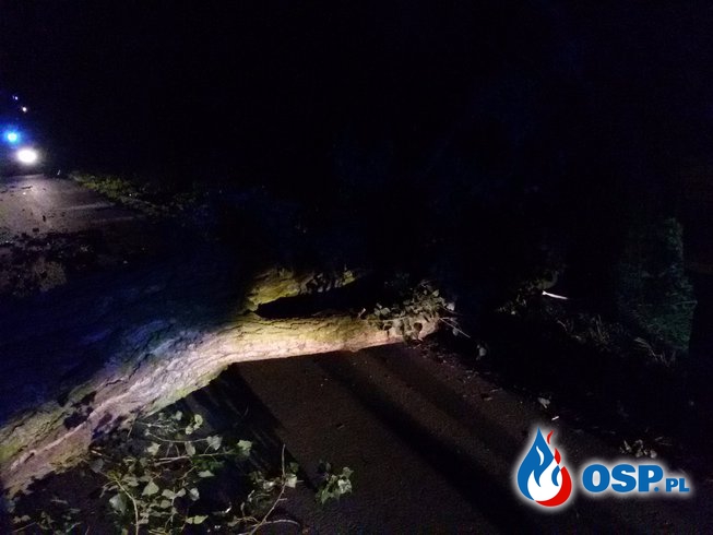 Powalone drzewo na drodze Landzmierz-Sukowice OSP Ochotnicza Straż Pożarna