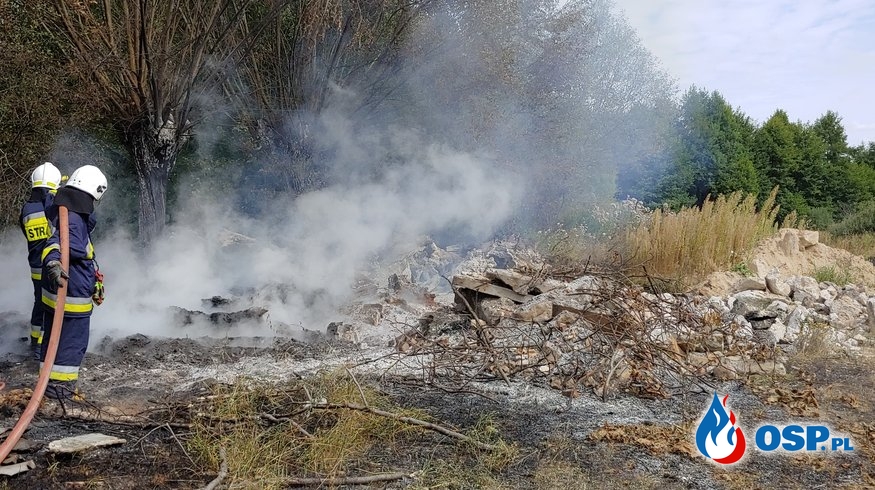 Pożar drzew i nieużytków w Dreglinie OSP Ochotnicza Straż Pożarna
