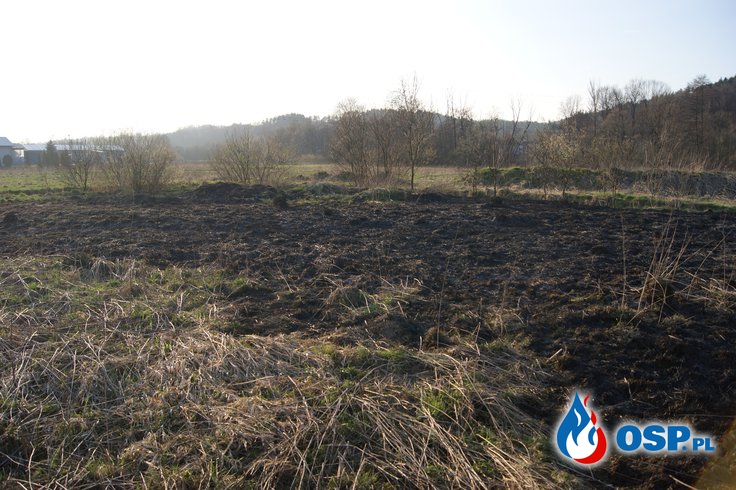 Pożar trawy w Biertowicach OSP Ochotnicza Straż Pożarna
