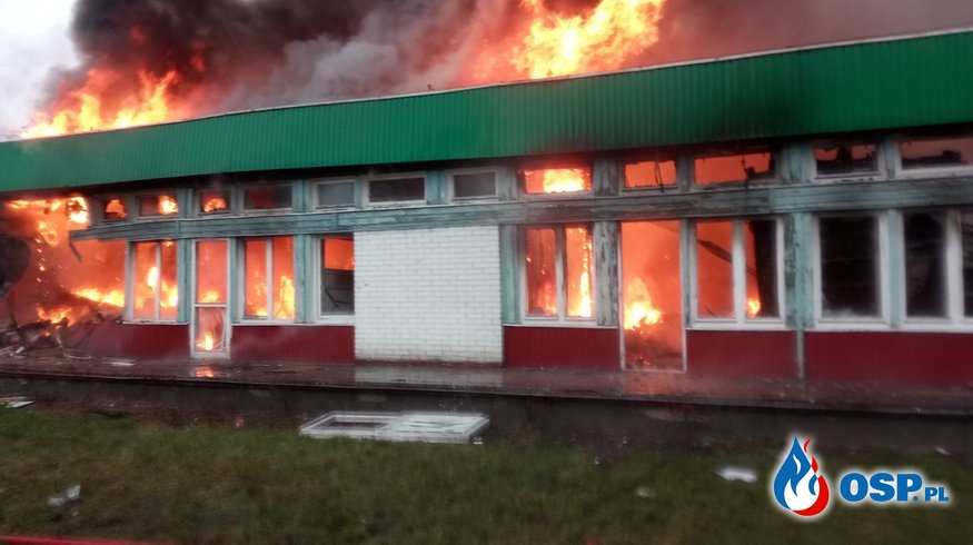 16 zastępów strażaków gasiło pożar w dawnym budynku szkoły OSP Ochotnicza Straż Pożarna