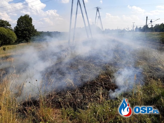 120/2020 Pożar nieużytków przy nasypie kolejowym OSP Ochotnicza Straż Pożarna