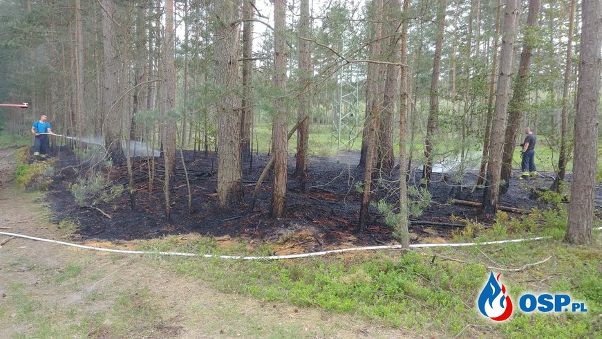 23.05 Wypadek i pożar ściółki w lesie OSP Ochotnicza Straż Pożarna