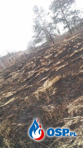 Pierwszy pożar traw w miejscowości - Pięty OSP Ochotnicza Straż Pożarna