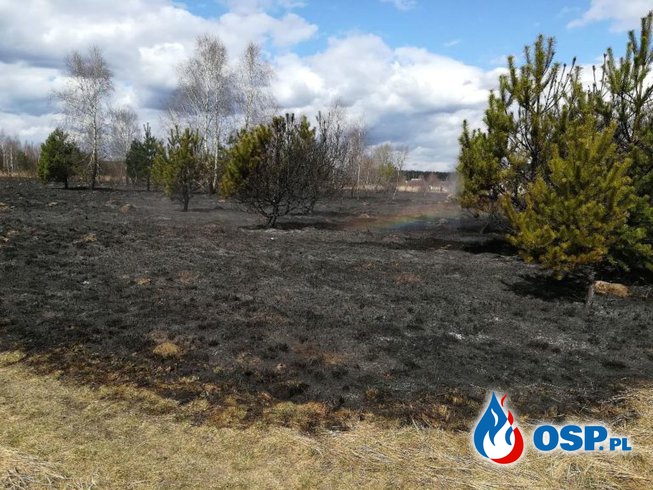 Trzy pożary nasypu przy linii kolejowej Wronki-Miały OSP Ochotnicza Straż Pożarna