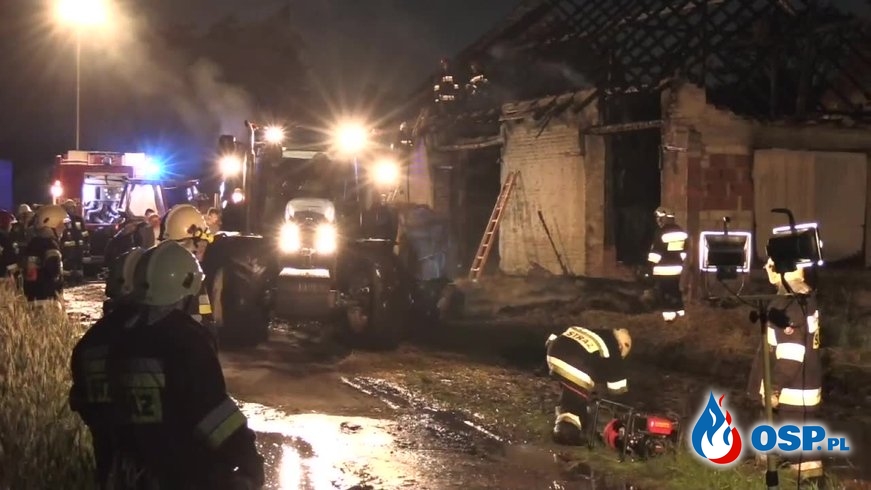 7 krów padło podczas pożaru. Ogień pojawił się po uderzeniu pioruna. OSP Ochotnicza Straż Pożarna