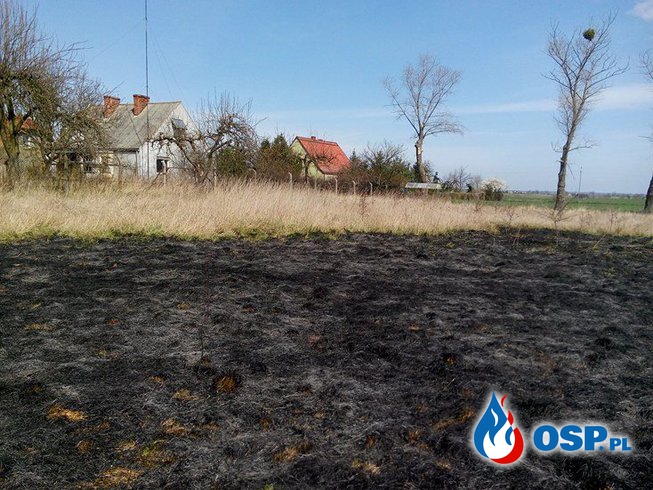 Gaszenie traw przez naszą jednostkę w ostatnich dniach. OSP Ochotnicza Straż Pożarna