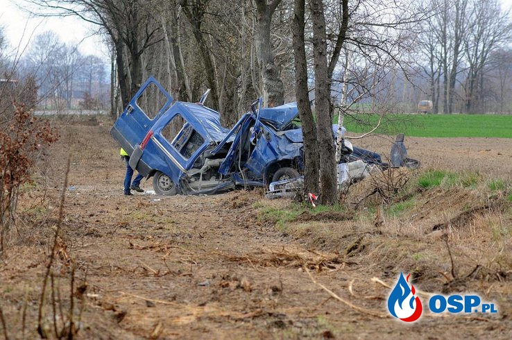 Kierowca z 2 promilami wjechał busem w drzewo. Zginął pasażer. OSP Ochotnicza Straż Pożarna