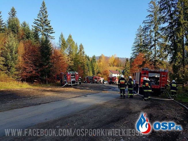 Ćwiczenia Komendanta Gminnego - pożar lasu OSP Ochotnicza Straż Pożarna