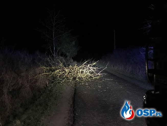 12/2020 Drzewo zablokowało drogę OSP Ochotnicza Straż Pożarna