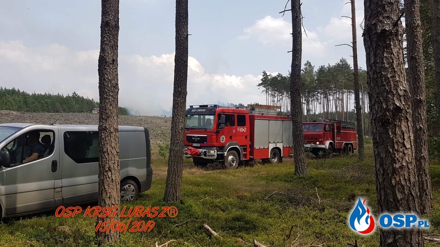 Pożar Lasu na granicy dwóch powiatów OSP Ochotnicza Straż Pożarna