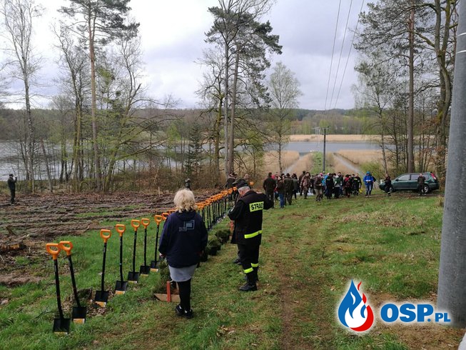 Wspólne sadzenie lasu - Gminne obchody Dnia Strażaka i Dnia Leśnictwa OSP Ochotnicza Straż Pożarna
