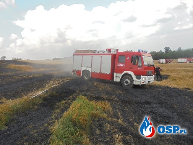 Pożar prasy do słomy i ścierniska w Grójcu OSP Ochotnicza Straż Pożarna