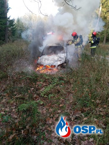 Pożar samochodu na leśnej drodze. BMW doszczętnie spłonęło. OSP Ochotnicza Straż Pożarna