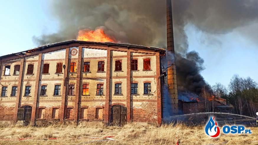Pożar starej cegielni w Szydłowie. Długa akcja strażaków na Opolszczyźnie. OSP Ochotnicza Straż Pożarna