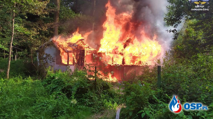 Pożar altany w Jastrzębiu-Zdroju. Zabudowania doszczętnie spłonęły. OSP Ochotnicza Straż Pożarna