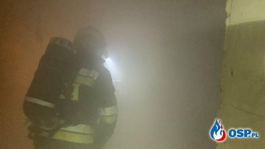 Nocny pożar opuszczonego budynku w Gogolinie. W akcji 5 zastępów strażaków. OSP Ochotnicza Straż Pożarna