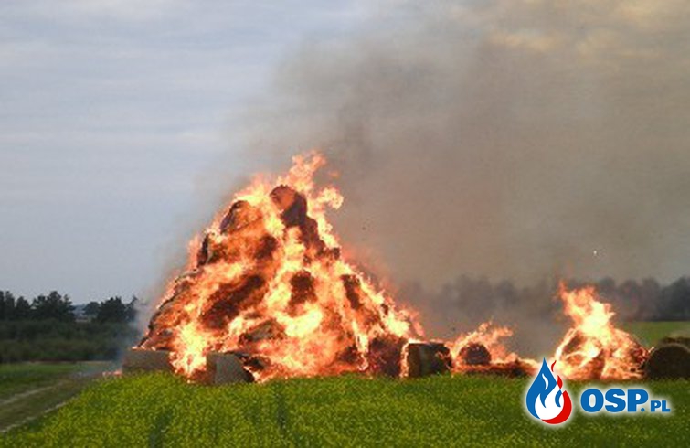 Pożary traw i nieużytków zagrażają budynkom i lasom OSP Ochotnicza Straż Pożarna