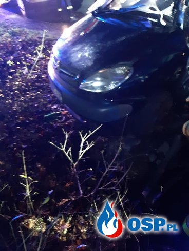 Dwie osoby zginęły w wypadku na Pomorzu. Auto uderzyło w drzewo. OSP Ochotnicza Straż Pożarna