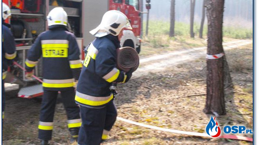 Zintegrowane ćwiczenia w lesie. OSP Ochotnicza Straż Pożarna