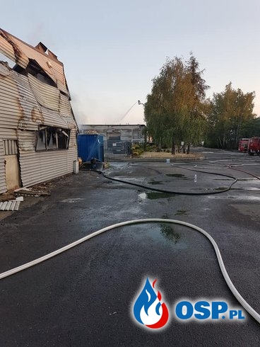 Ogromny pożar hali w Mikołowie. W akcji blisko 150 strażaków. OSP Ochotnicza Straż Pożarna