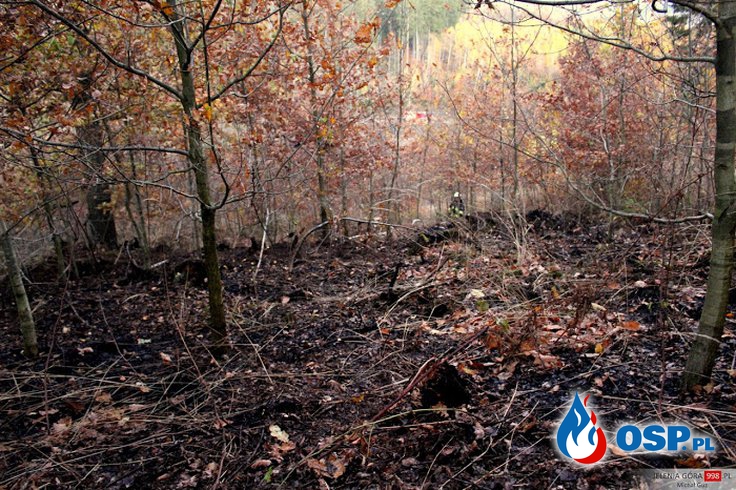 Jeżów Sudecki: Pożar lasu na Górze Szybowcowej. OSP Ochotnicza Straż Pożarna