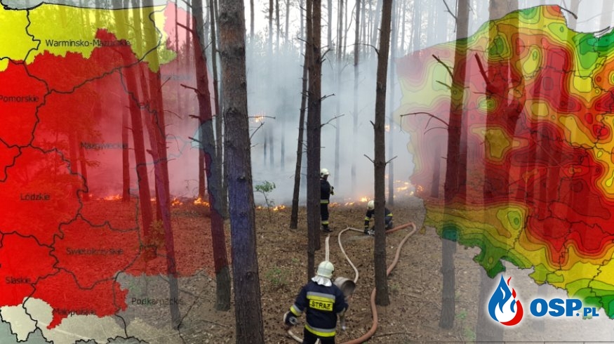 Można wchodzić do lasów, lecz panuje tam duże zagrożenie pożarowe OSP Ochotnicza Straż Pożarna