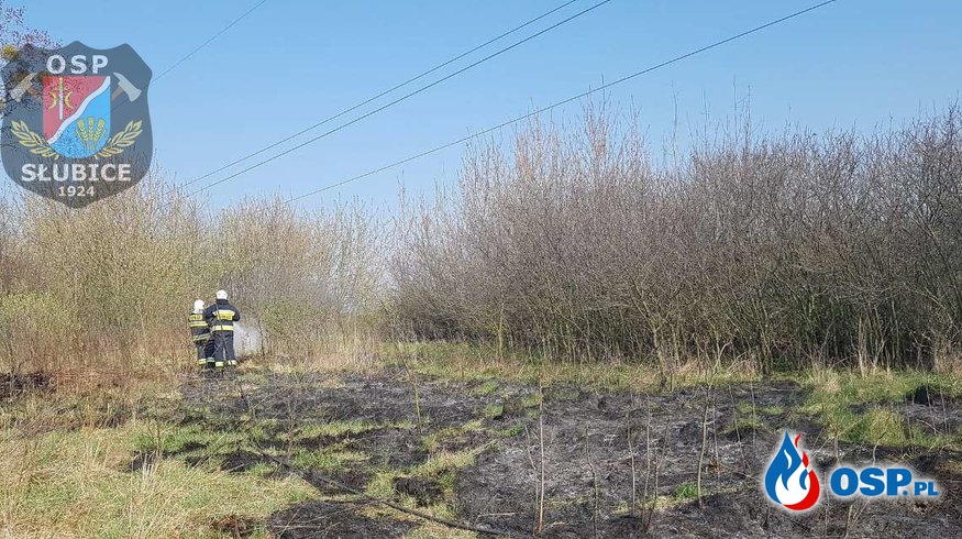 Pożar trawy blisko zabudowań OSP Ochotnicza Straż Pożarna