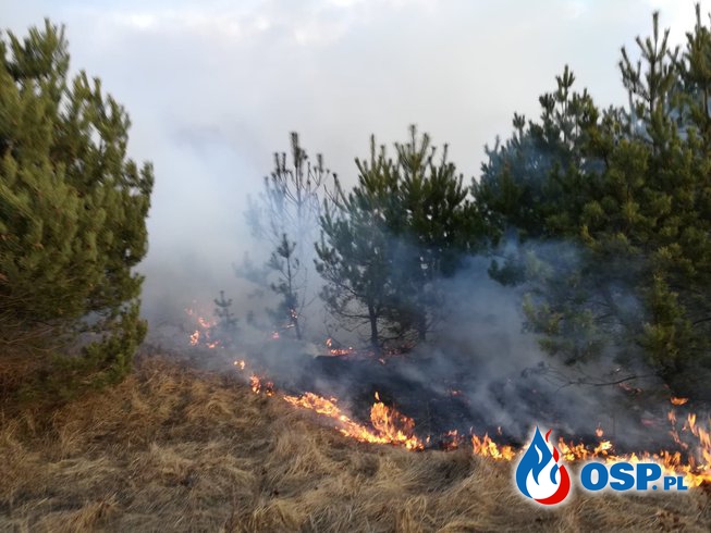 Duży pożar i wypadek OSP Ochotnicza Straż Pożarna