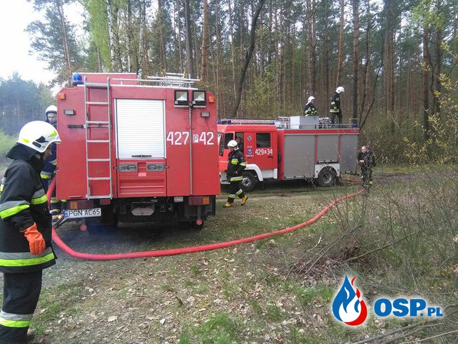 LAS NOWASZYCE 2016 OSP Ochotnicza Straż Pożarna