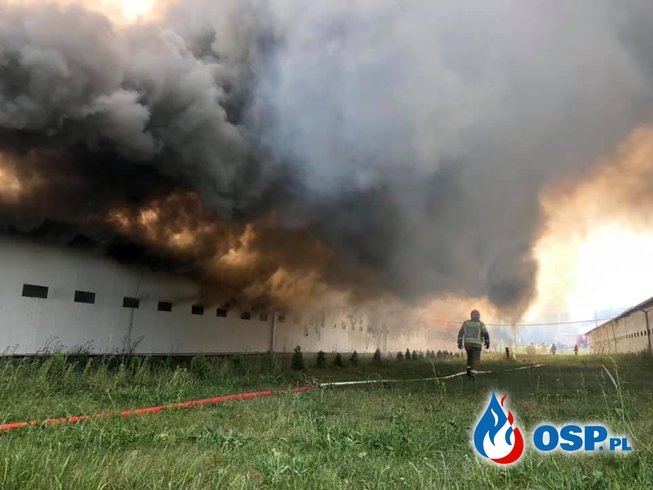 Groźny pożar na fermie drobiu. W akcji 22 zastępy strażaków. OSP Ochotnicza Straż Pożarna