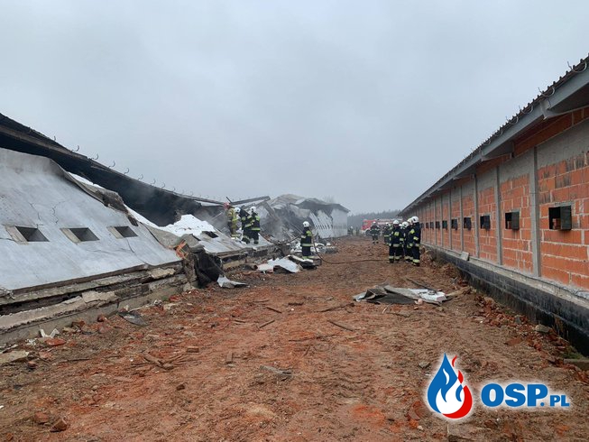 Ponad 30 tys. kurczaków spłonęło w pożarze fermy na Opolszczyźnie OSP Ochotnicza Straż Pożarna