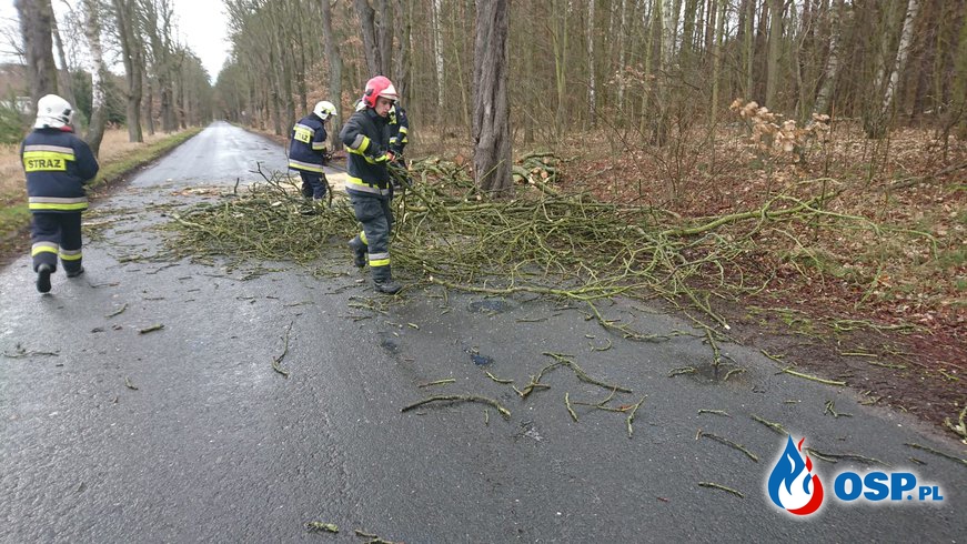 30-32/2019 Porwisty wiatr powalił drzewa w okolicy! OSP Ochotnicza Straż Pożarna